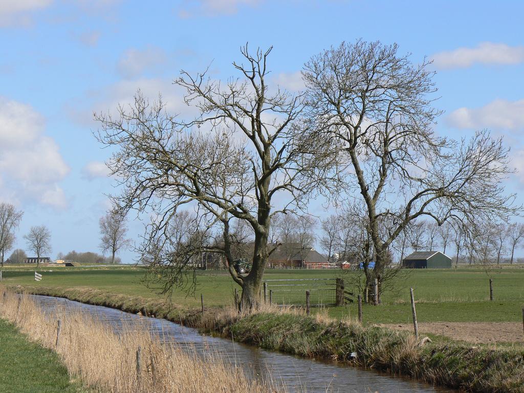 Groningen Buiten B&B Zuidhorn Extérieur photo