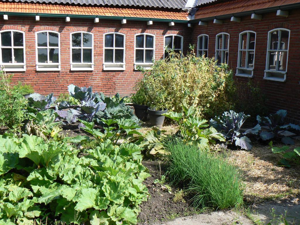 Groningen Buiten B&B Zuidhorn Extérieur photo