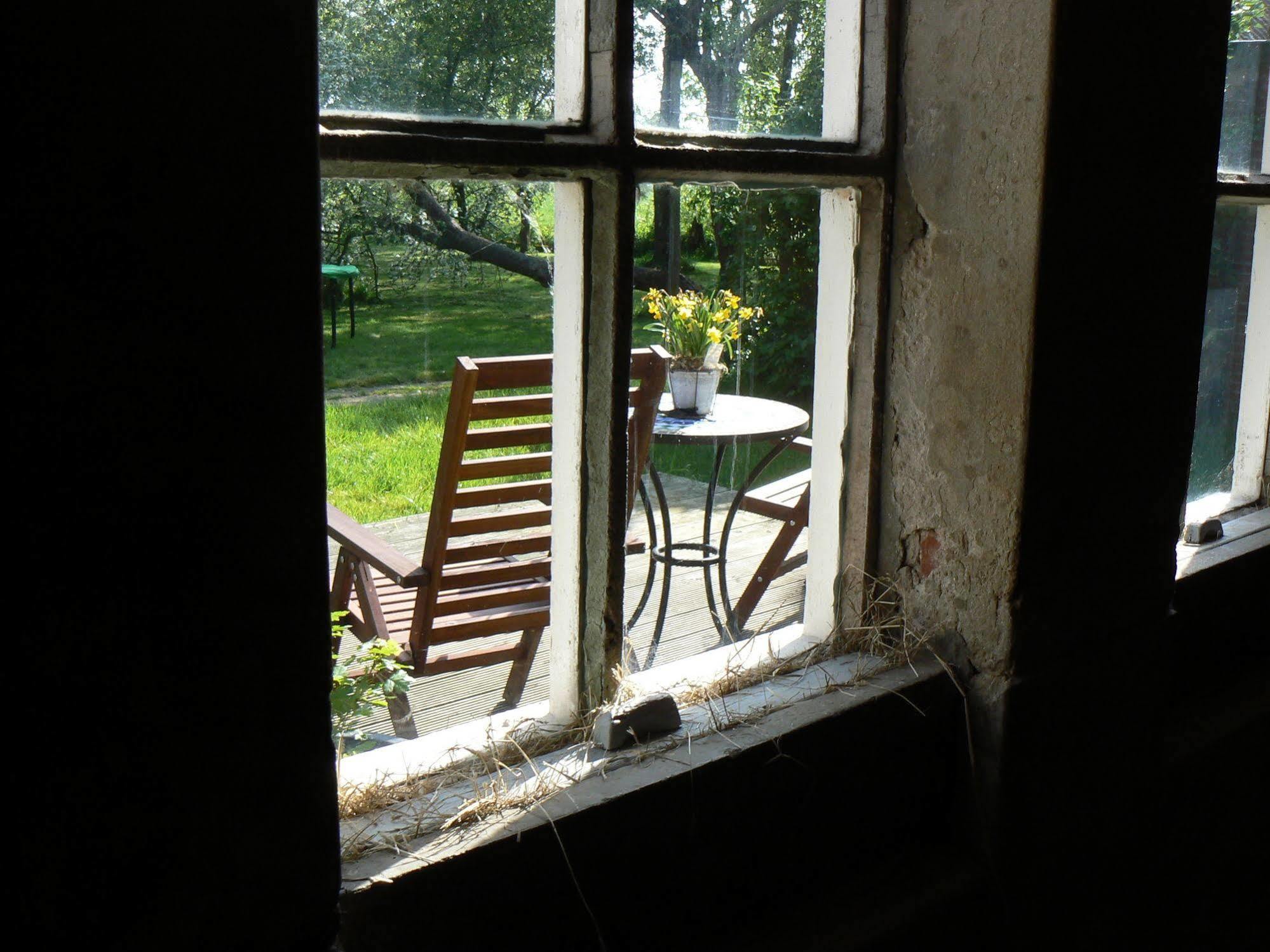 Groningen Buiten B&B Zuidhorn Extérieur photo